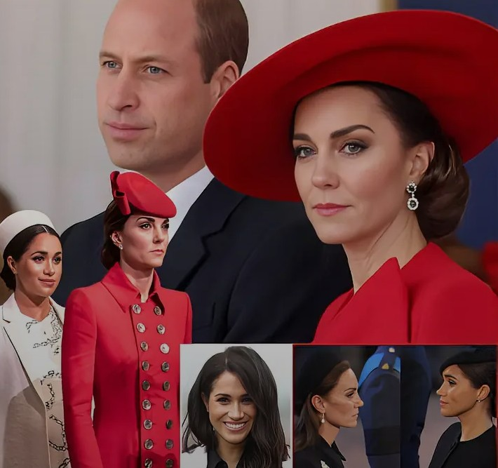 Screenshot_20260205-092503~2