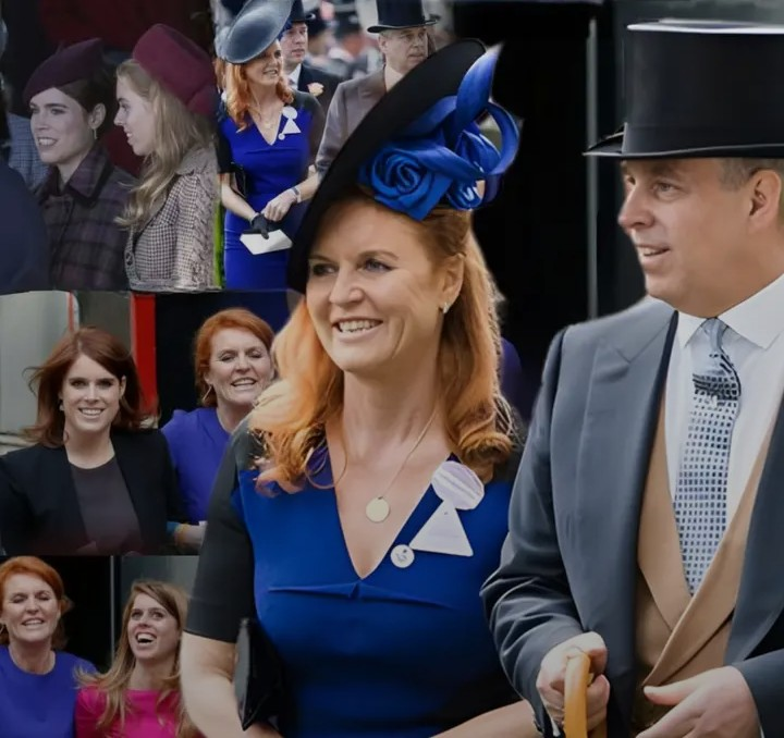 Screenshot_20260207-214619~2