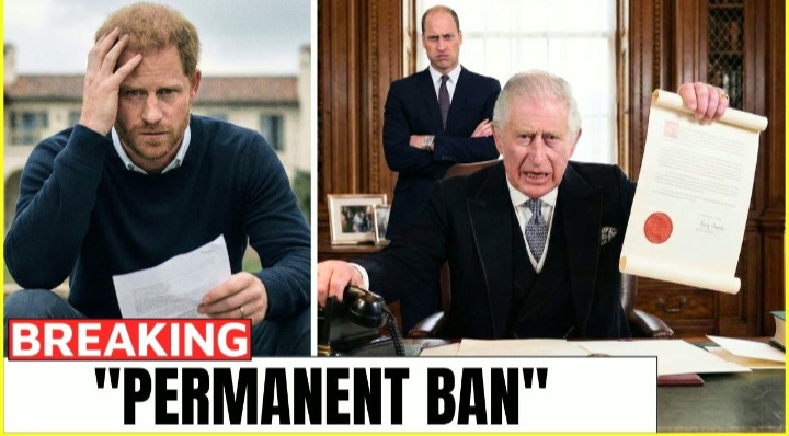 Screenshot_20260207-215337~2