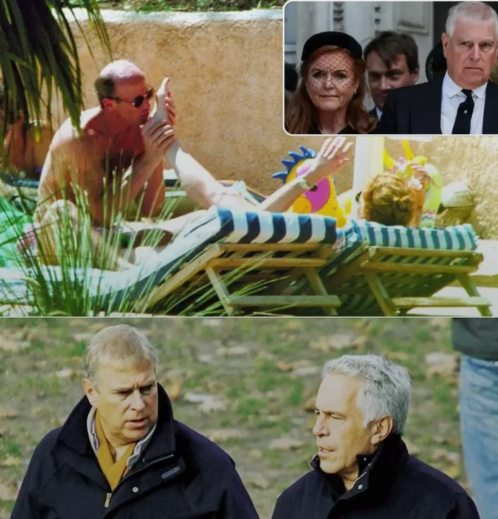 Screenshot_20260208-062917~2