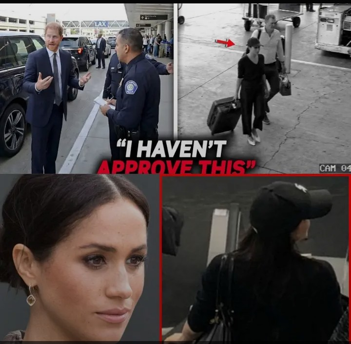 Screenshot_20260209-134750~2