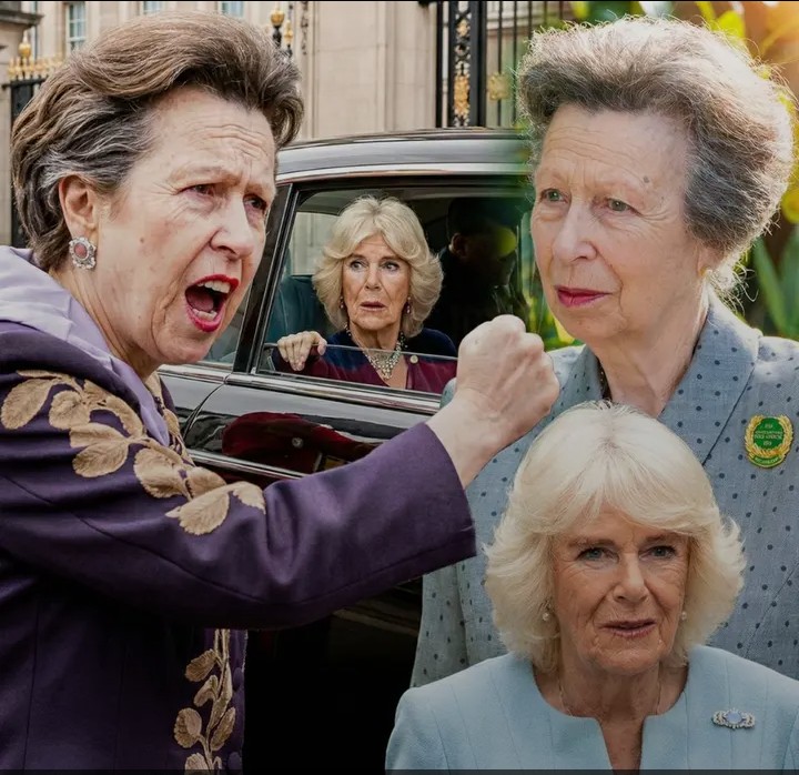 Screenshot_20260210-065833~2