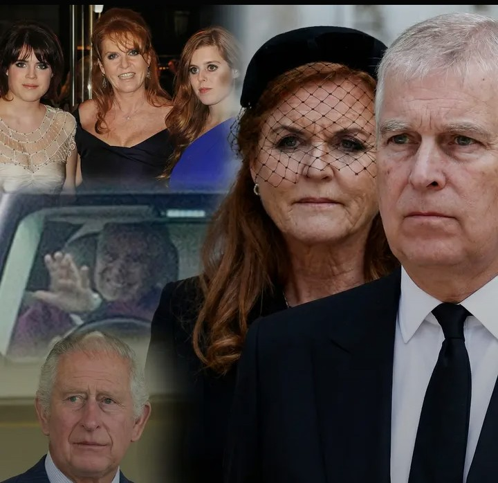 Screenshot_20260210-154757~2