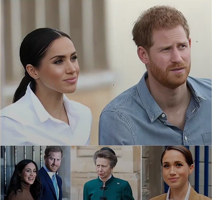 Screenshot_20260211-100403~2