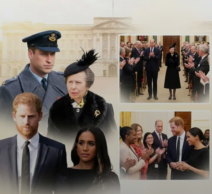 Screenshot_20260211-100705~2