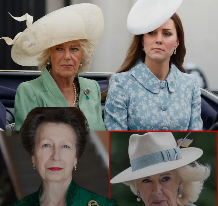 Screenshot_20260211-131226~2