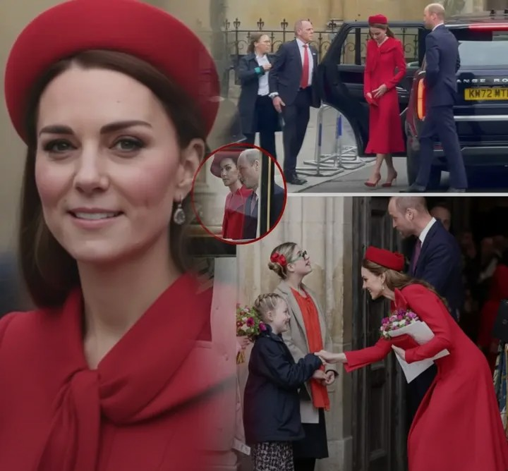 Screenshot_20260211-215812~2