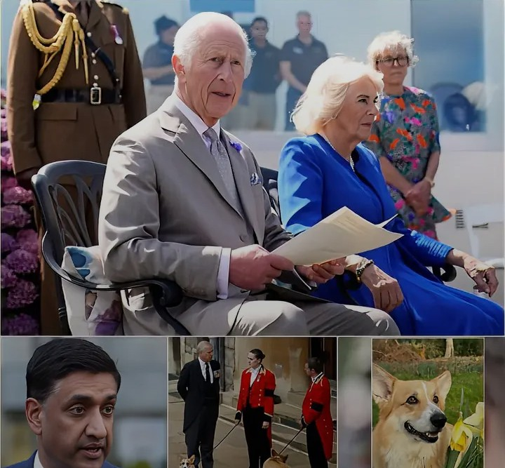 Screenshot_20260212-062432~2