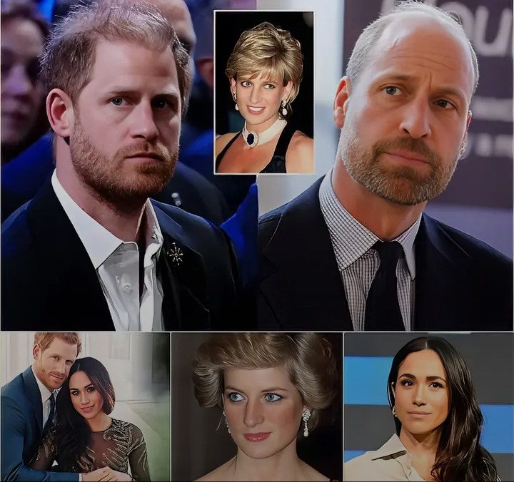 Screenshot_20260212-112014~2