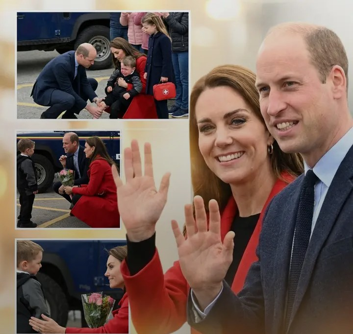 Screenshot_20260212-112252~2