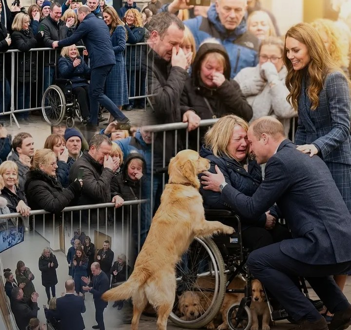 Screenshot_20260212-112506~2