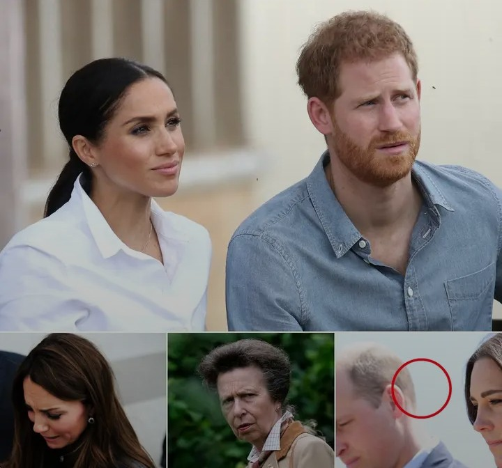 Screenshot_20260212-112936~2