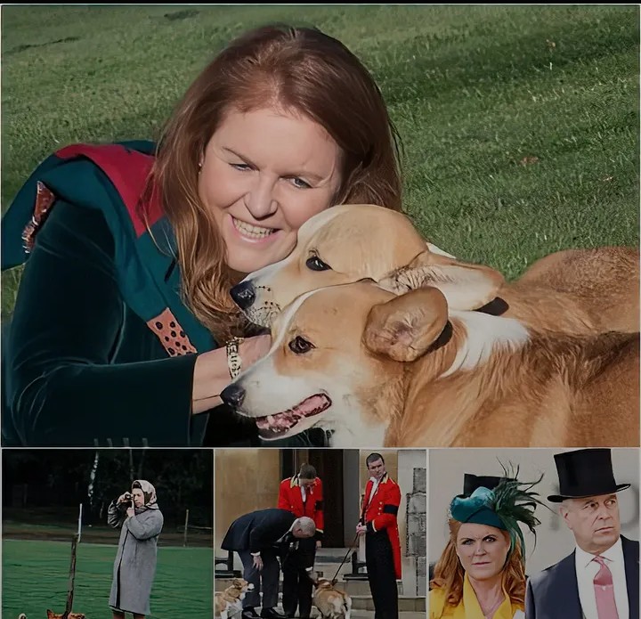 Screenshot_20260213-084704~2