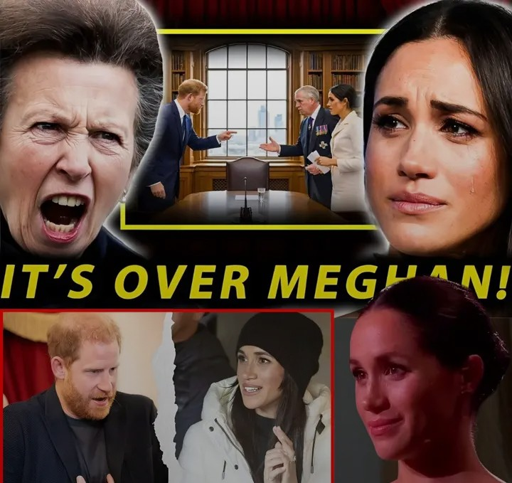 Screenshot_20260213-124657~2