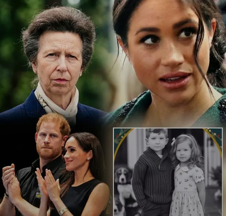 Screenshot_20260213-174113~2