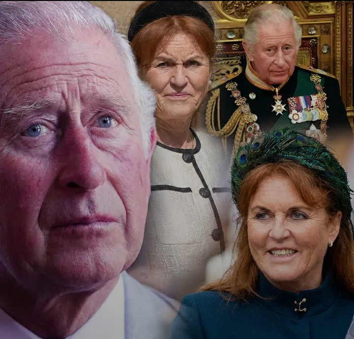 Screenshot_20260213-174346~2