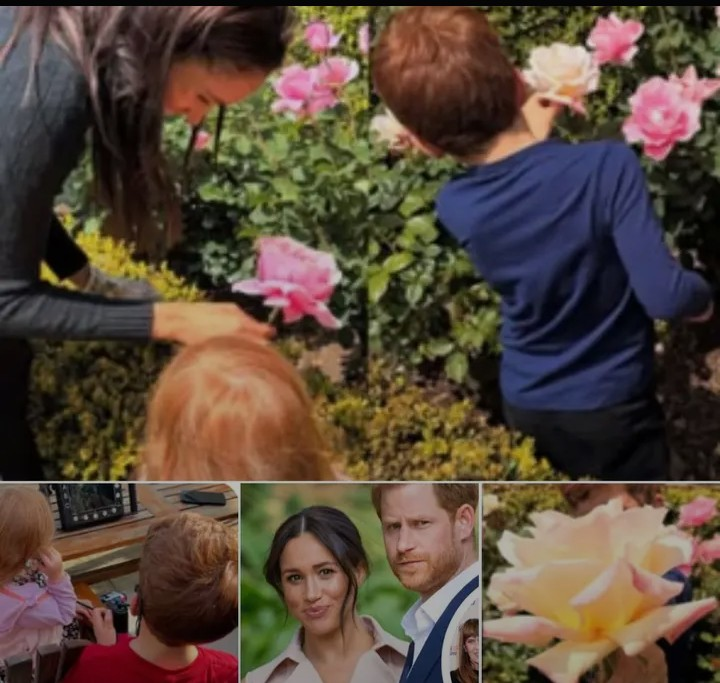 Screenshot_20260213-211347~2