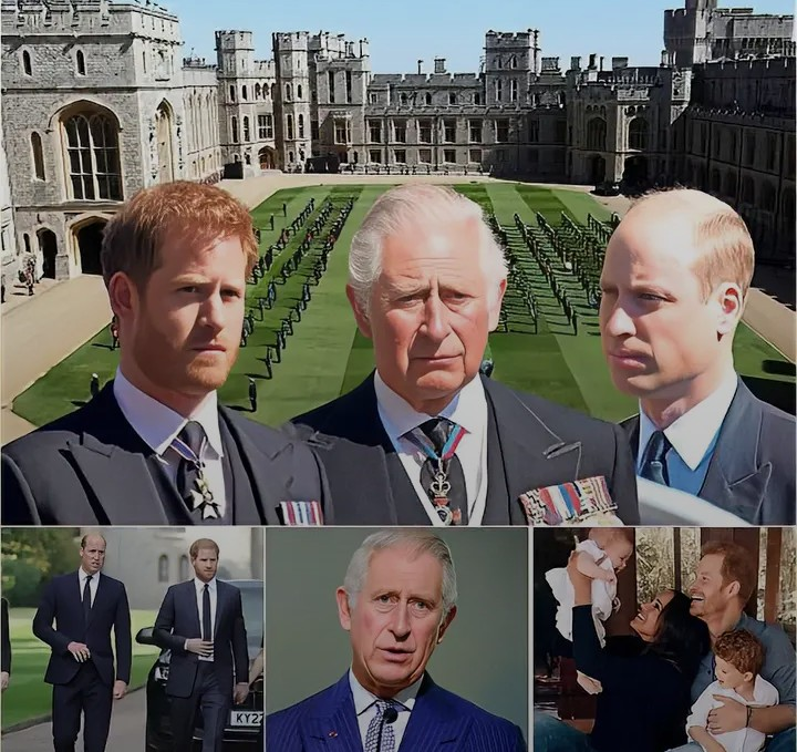 Screenshot_20260214-095906~2