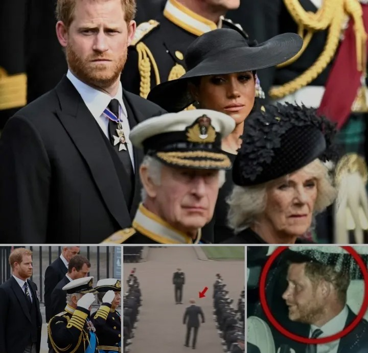 Screenshot_20260214-201203~2