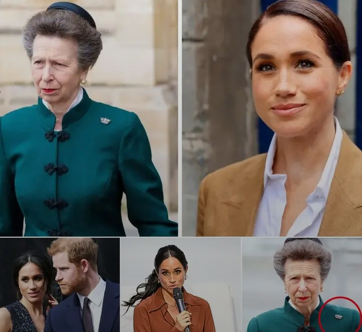 Screenshot_20260214-201652~2