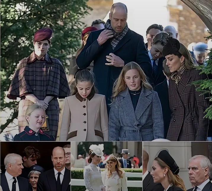 Screenshot_20260215-064418~2