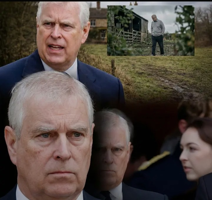 Screenshot_20260215-142128~2