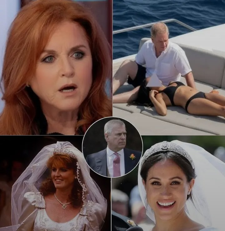 Screenshot_20260216-182216~2