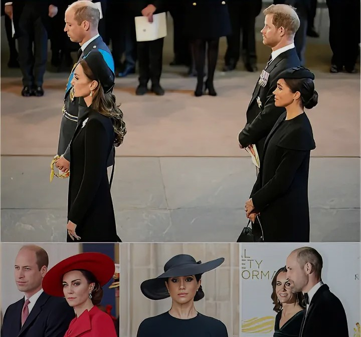 Screenshot_20260217-112039~2