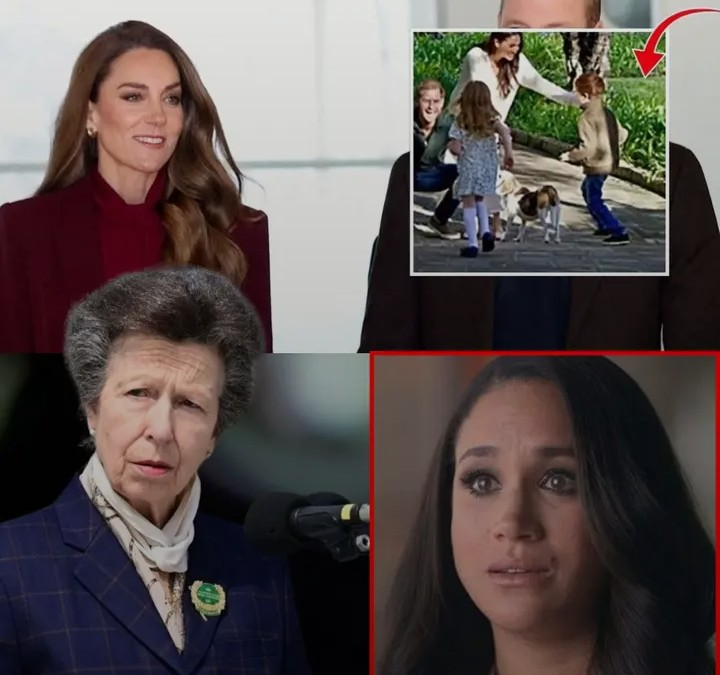 Screenshot_20260217-122626~2