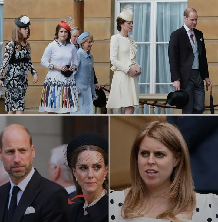 Screenshot_20260217-145036~2