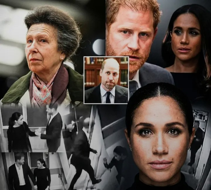 Screenshot_20260218-071406~2