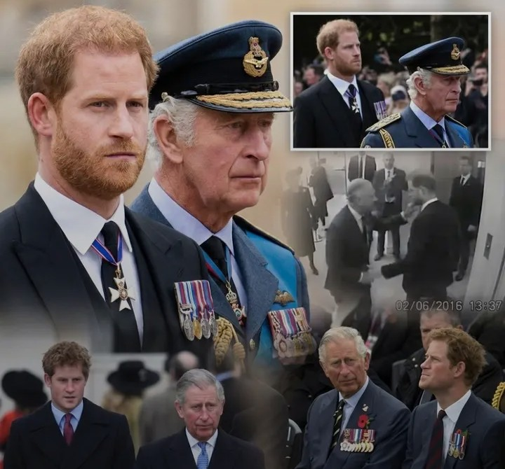 Screenshot_20260219-110209~2