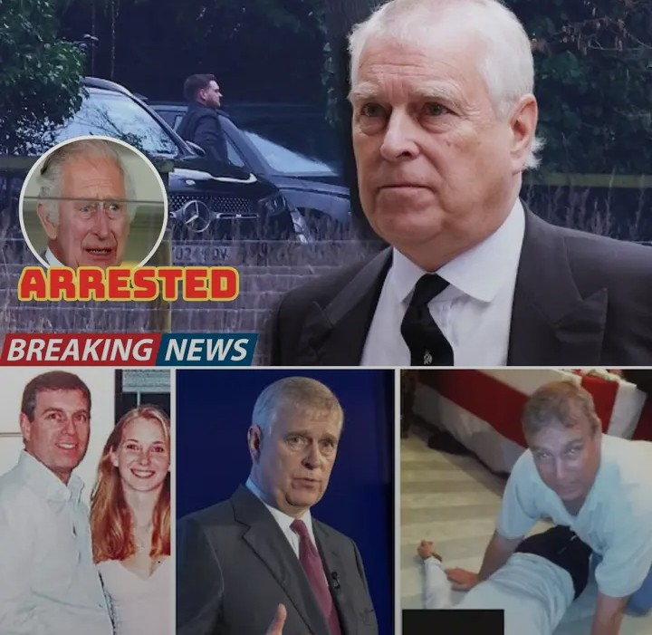 Screenshot_20260219-164050~2