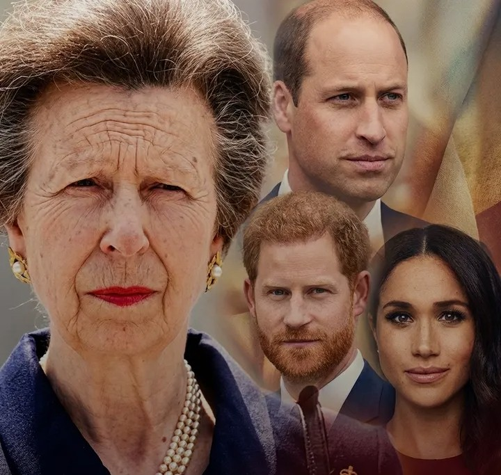 Screenshot_20260220-051951~2