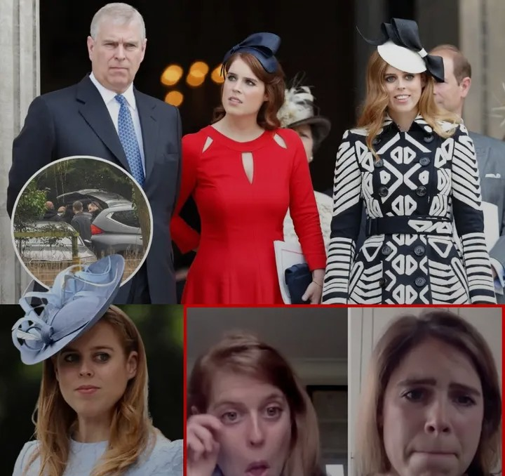 Screenshot_20260220-163738~2