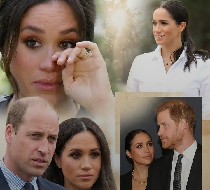 Screenshot_20260220-214113~2