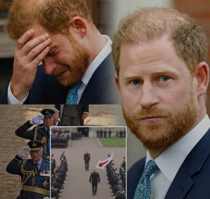 Screenshot_20260222-190611~2