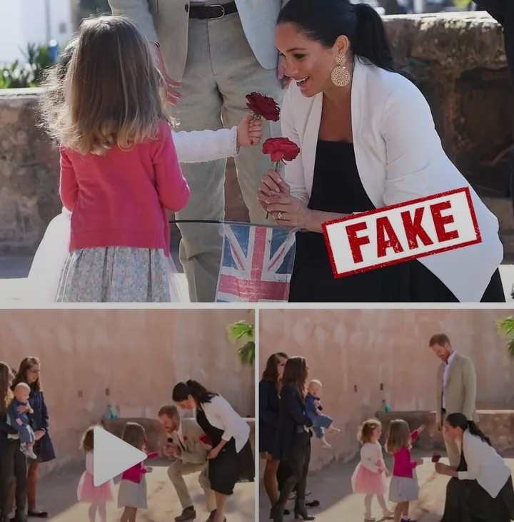 Screenshot_20260224-045011~2