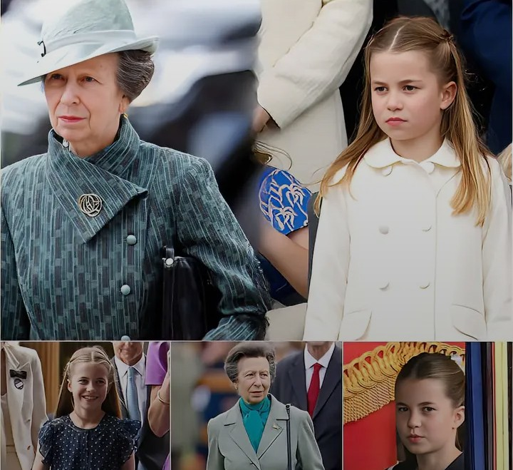 Screenshot_20260224-111010~2