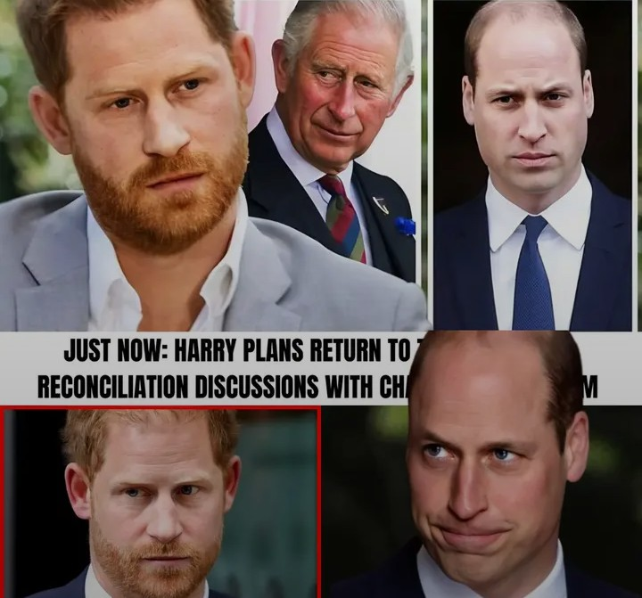 Screenshot_20260224-143450~2