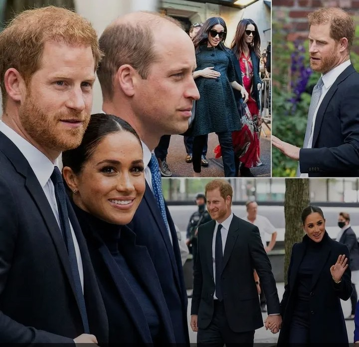 Screenshot_20260224-212506~2