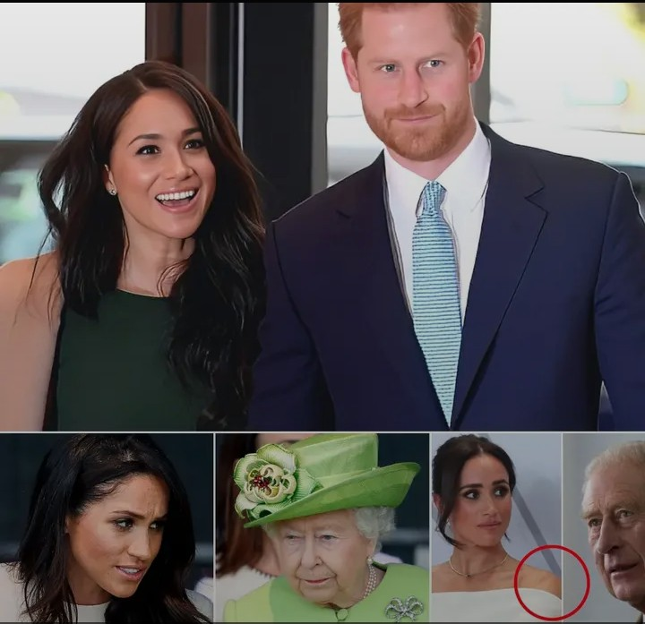 Screenshot_20260225-194100~2