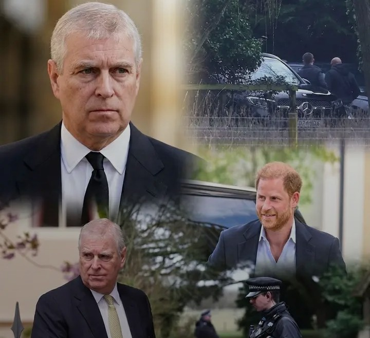 Screenshot_20260226-080304~2