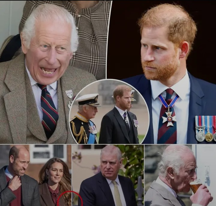 Screenshot_20260226-104437~2