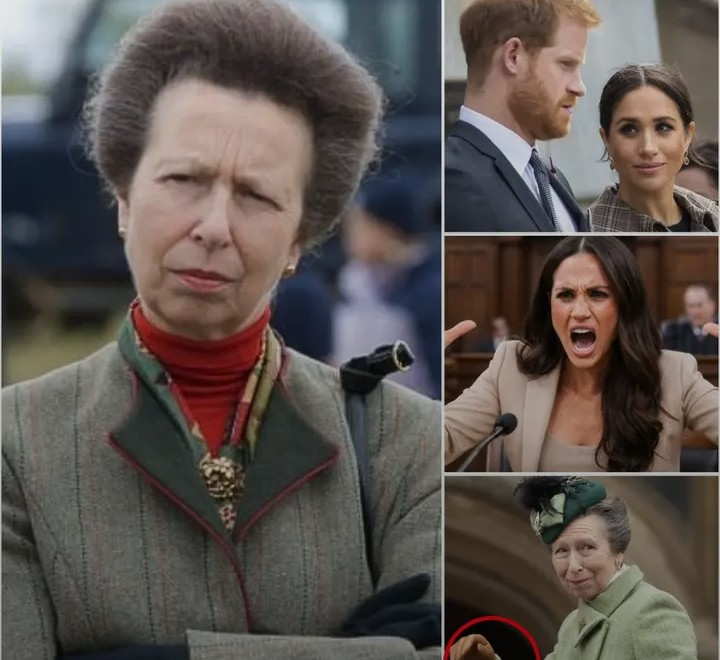 Screenshot_20260226-155112~2