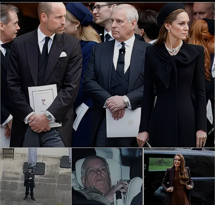 image_editor_output_image1734753404-1771736987005