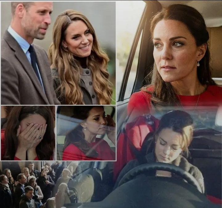 image_editor_output_image897730608-1771241634790