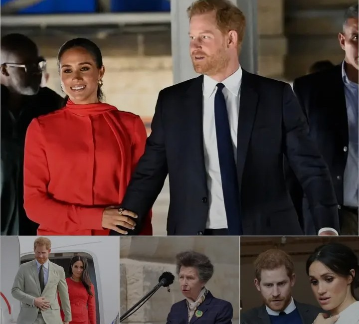 Screenshot_20260302-075733~2