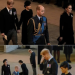 Screenshot_20260303-080909~2