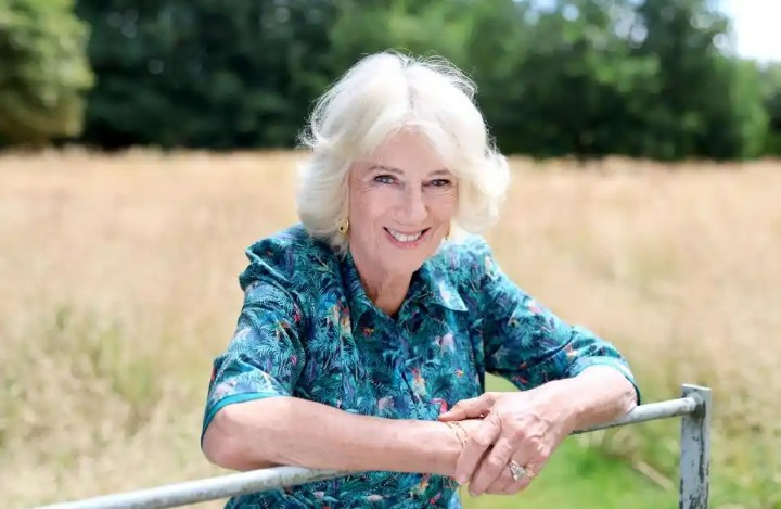 Screenshot_20260304-093355~2